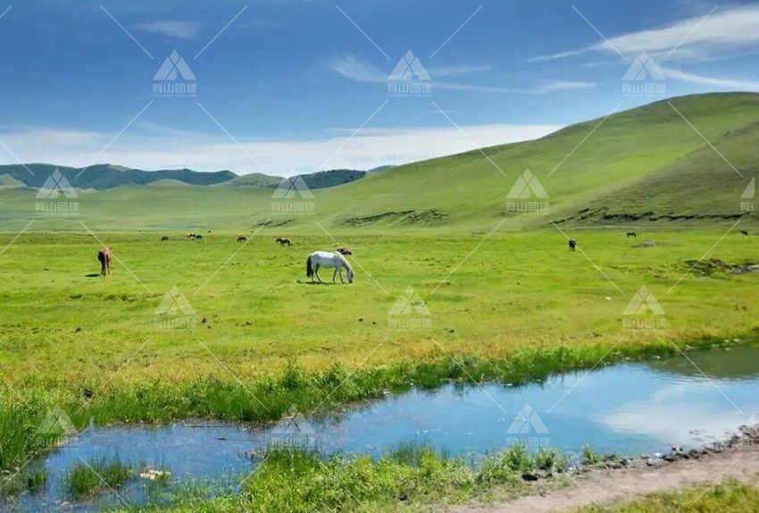 北京炎热夏日就要来临了快来草原来一场不同寻常旅游团建吧！_3